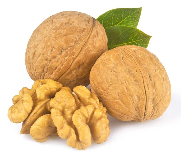 Beyaz arkaplanda izole edilmiş cevizler