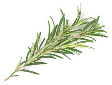 Beyaz arkaplanda biberiye izole edildi