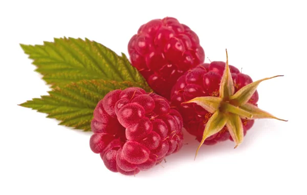 Ahududu beyaz arkaplanda izole edildi