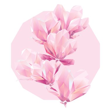 Crystal Pink orkide, çokgen çiçekler, güzel çiçek arka plan reklamlar için
