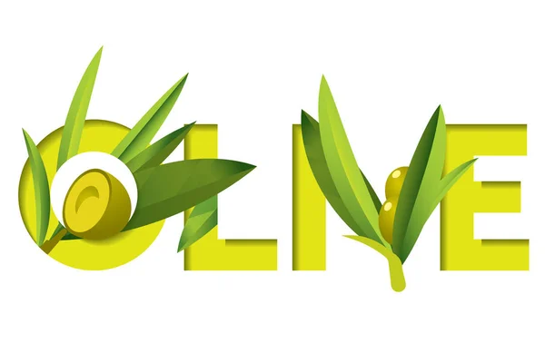 Palabra de tipo verde oliva con rama de olivo para anuncios — Vector de stock