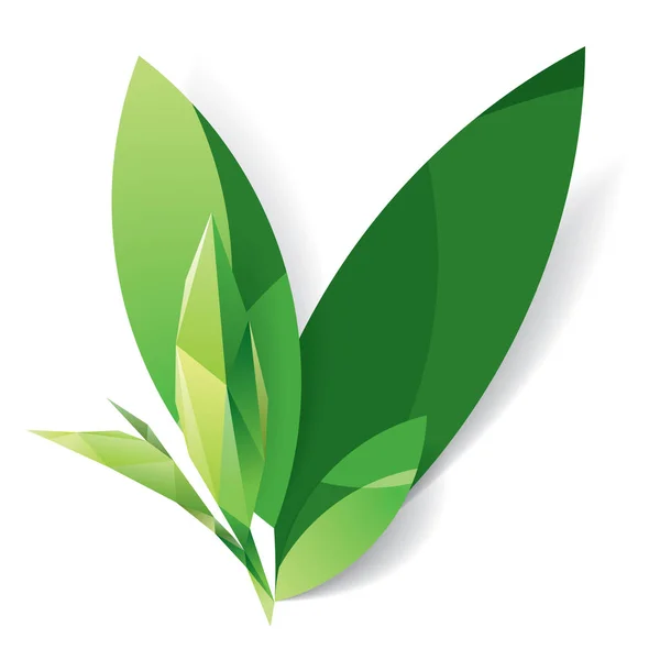 Papper snidade grönt blad och crystal leaf, eco koncept, teblad — Stock vektor