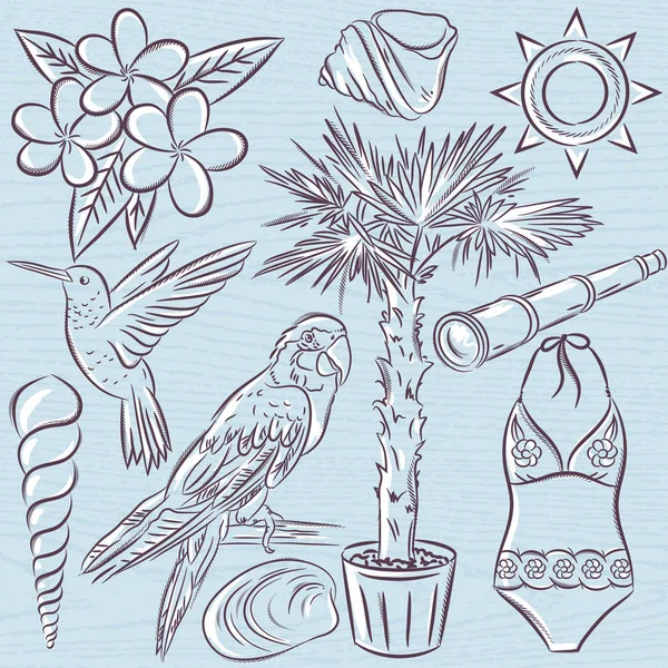 Reihe von Sommersymbolen, Badeanzug, Papagei, Kolibri, Palme — Stockvektor