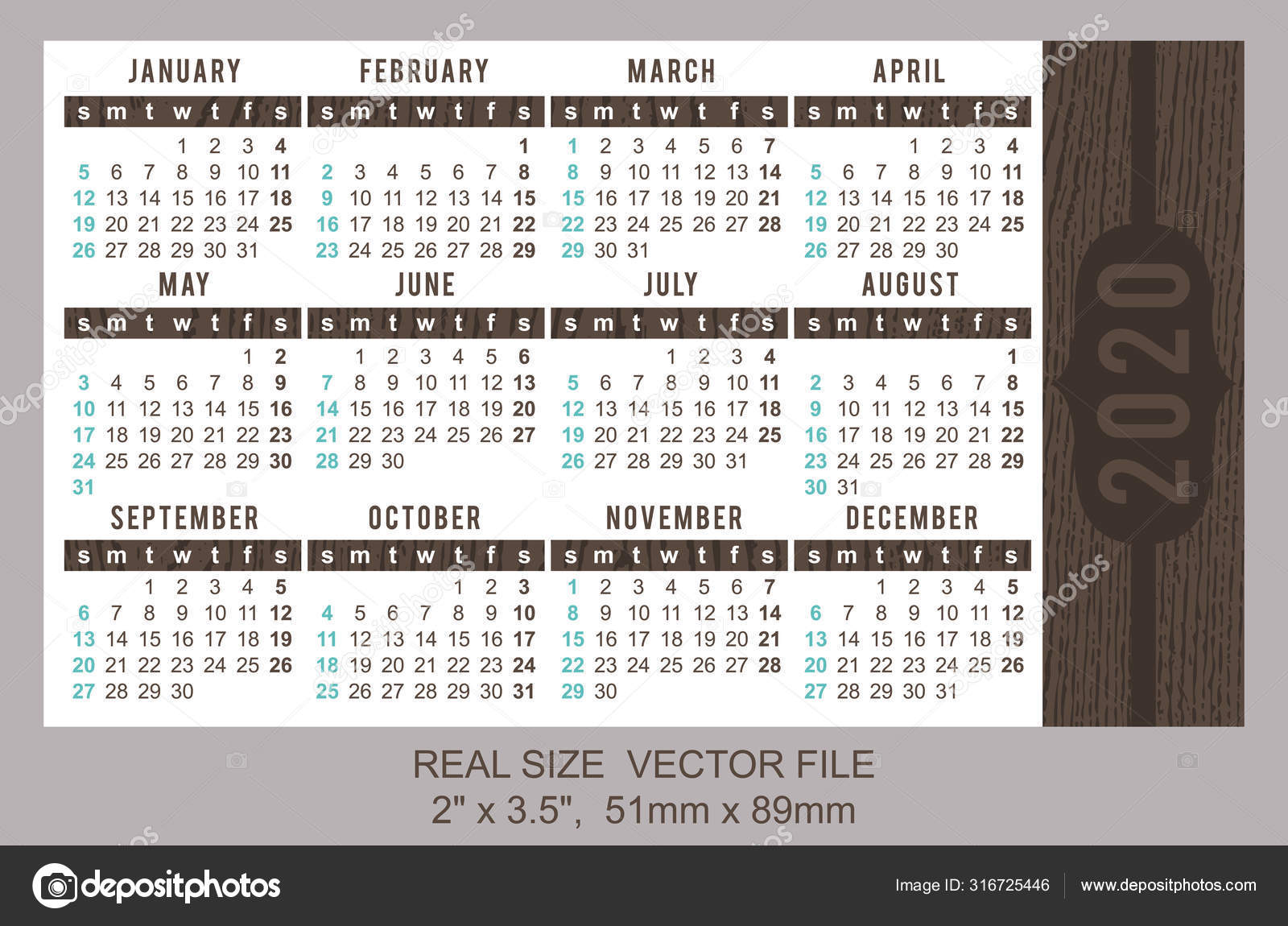 Calendario de bolsillo 2020, vector, comenzar el domingo vector