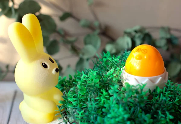 Концепция празднования пасхи. игрушечный кролик и курица на траве. Счастливая еда и весенний проект . — стоковое фото