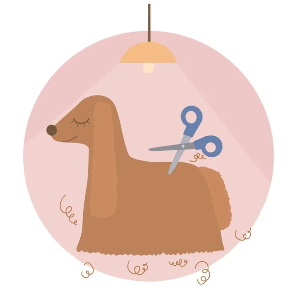 Elegante marrone cane lavaggio e toelettatura pet shop logo design per le imprese o l'organizzazione aziendale — Foto Stock