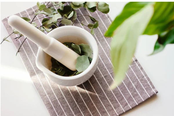 Ervas curativas em argamassa de cerâmica branca e pilão. Conceito de medicina alternativa, folhas de eucaliptus . — Fotografia de Stock