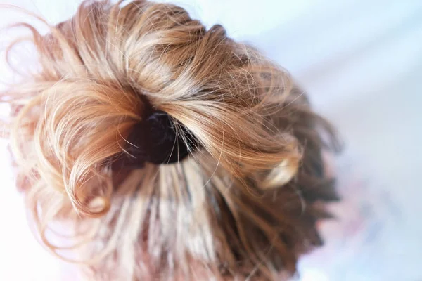 Chaotische Brötchen auf dem Kopf einer blonden Frau. leicht lockiges Haar. — Stockfoto