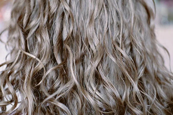 Closeup de cabelo loiro encaracolado sem rosto visão traseira de