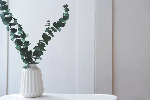 Eucaliptus Parte Vaso Branco Uma Mesa Conceito Estilo Fresco Mínimo — Fotografia de Stock