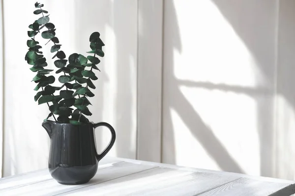 Eucaliptus Leaves Black Vase Table Fresh Minimal Style Concept Clean — Stock Photo, Image