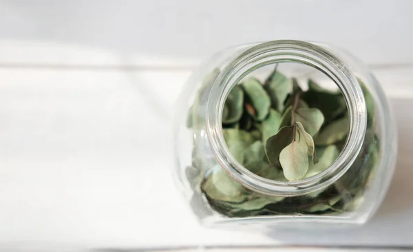 Cam Şişedeki Şifalı Bitkiler Alternatif Tıp Konsepti Kuru Okaliptüs Yaprakları — Stok fotoğraf