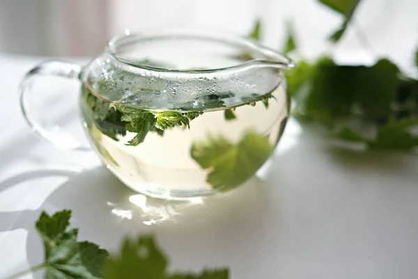 Çaydanlıkta Bitki Çayı Var Frenk Üzümü Şeffaf Bir Tencerede Bırakır — Stok fotoğraf