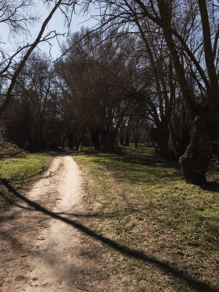 Adaja Nehri yürüyüş yolu