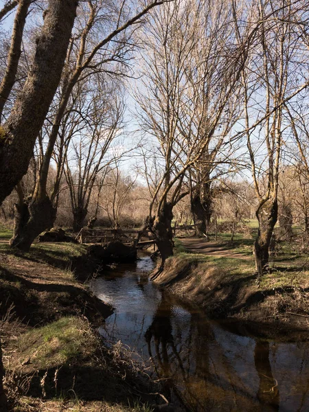 Adaja Nehri ağaçlarla çevrili.