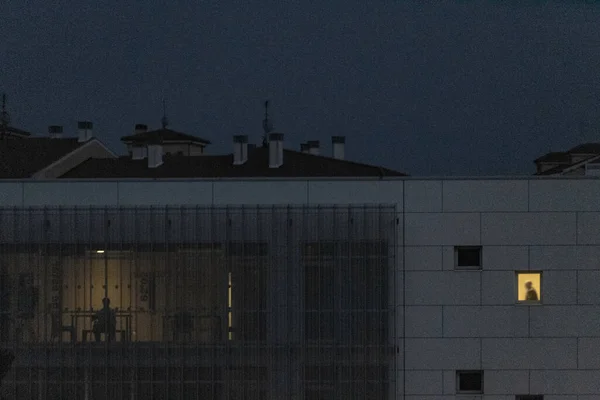 Органический Силуэт Проецируемый Фасадные Окна Наружной Стороны — стоковое фото