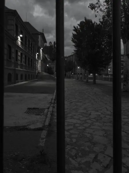 Pathway View Pattern Black Fence — стоковое фото