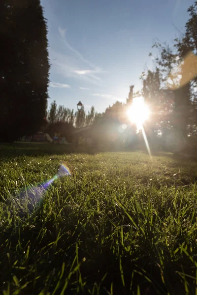 Güneş şehir parkında saklanmaya başlıyor.