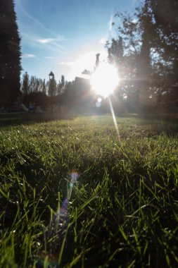 Güneş şehir parkında saklanmaya başlıyor.