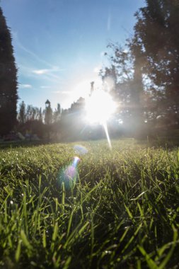 Güneş şehir parkında saklanmaya başlıyor.