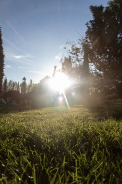 Güneş şehir parkında saklanmaya başlıyor.