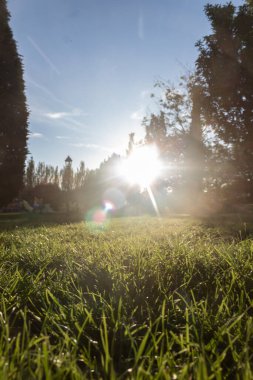 Güneş şehir parkında saklanmaya başlıyor.