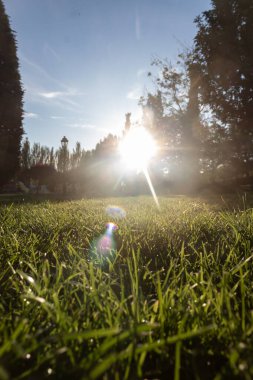 Güneş şehir parkında saklanmaya başlıyor.