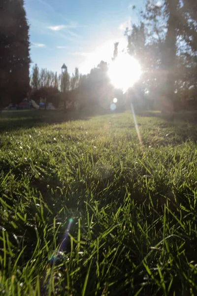 Güneş şehir parkında saklanmaya başlıyor.