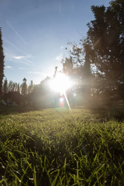 Güneş şehir parkında saklanmaya başlıyor.