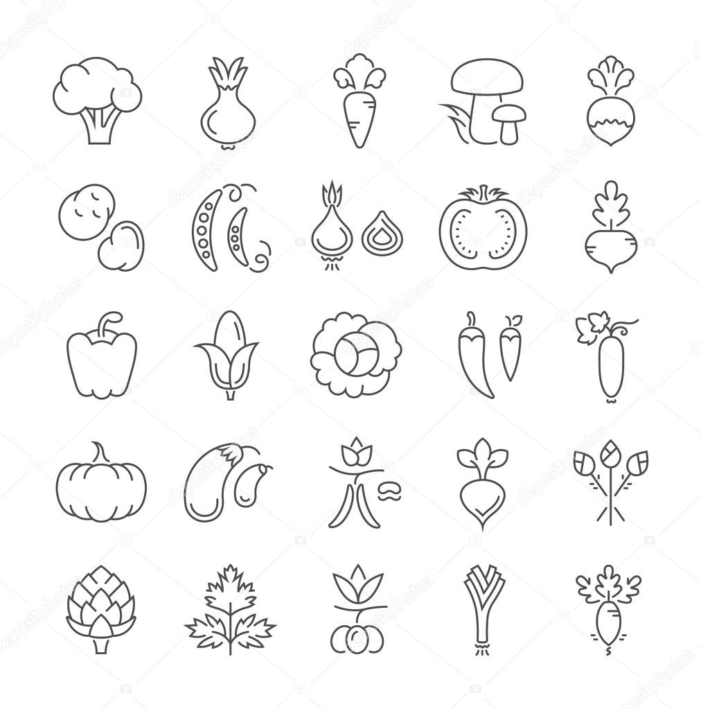 Set Vector Flat Line Icons Vegetables