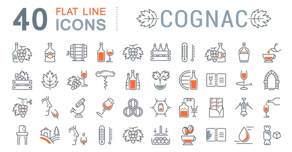 Set Vector Flat Line Icons Cognac — Stock Vector