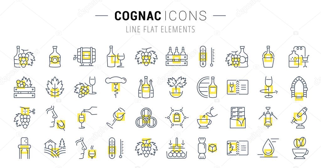 Set Vector Flat Line Icons Cognac