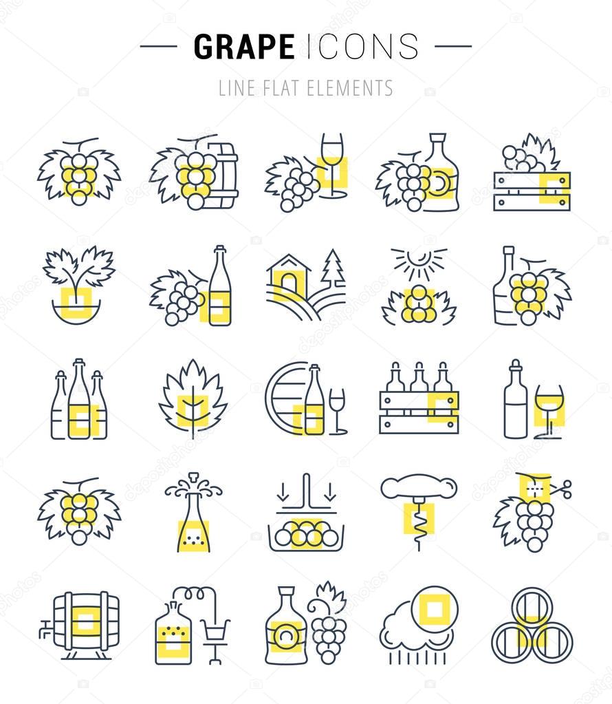 Set Vector Flat Line Icons Grape 