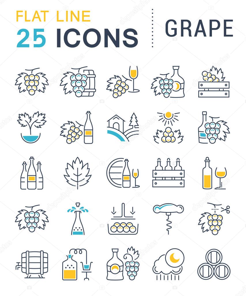 Set Vector Flat Line Icons Grape 