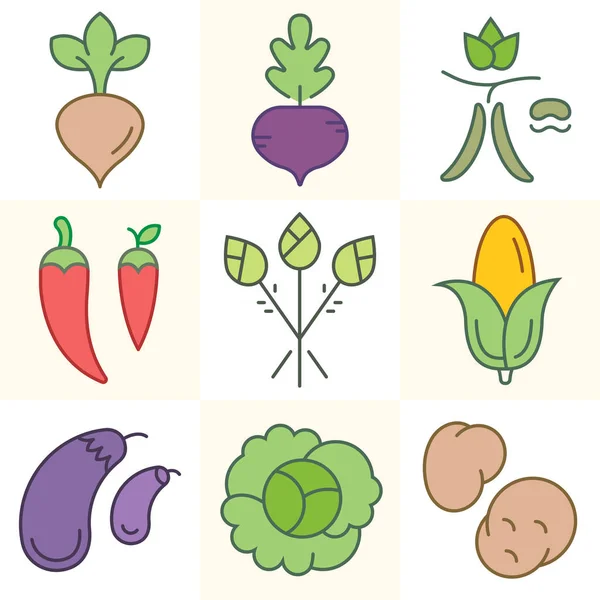 Λαχανικά και χόρτα, σετ εικονογραφήσεις φορέα — Διανυσματικό Αρχείο