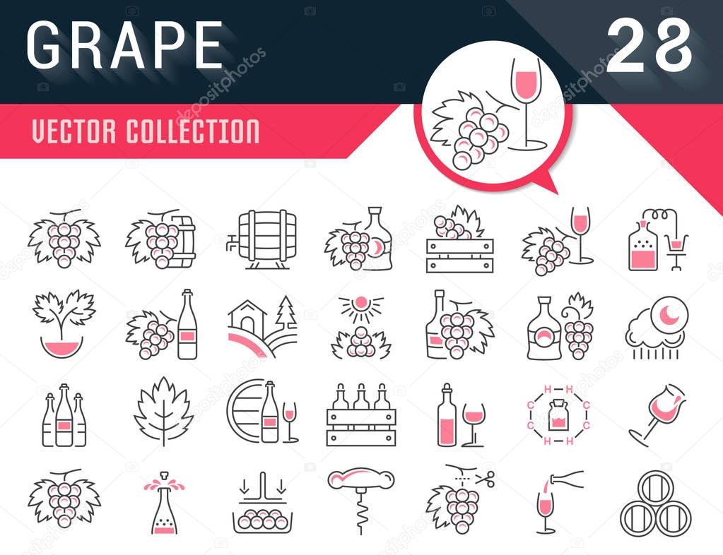 Set Vector Flat Line Icons Grape