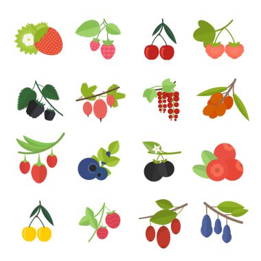 Çilek set vektör çizim