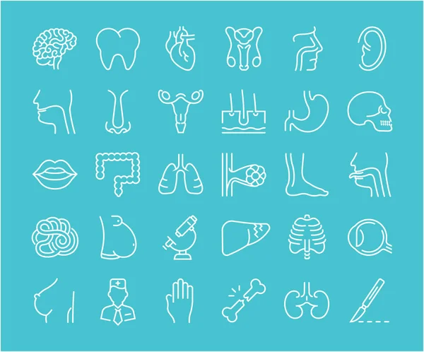 Conjunto de iconos de línea de anatomía y fisiología — Vector de stock