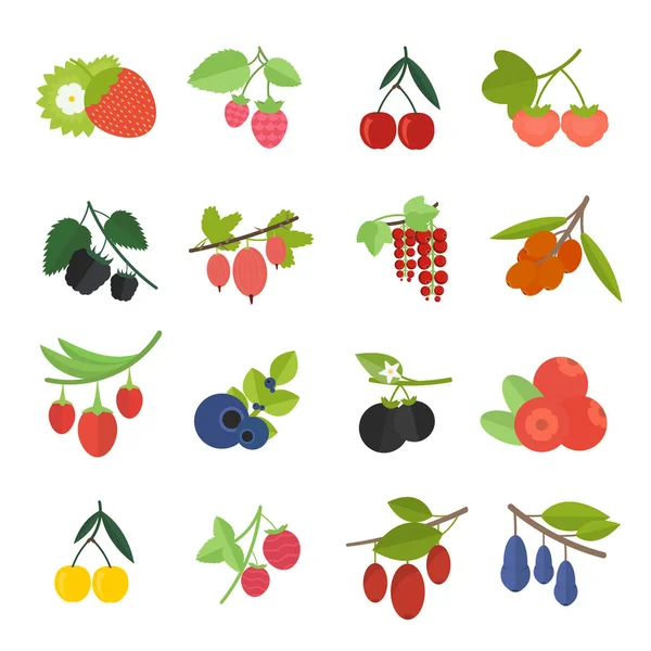 Çilek set vektör çizim