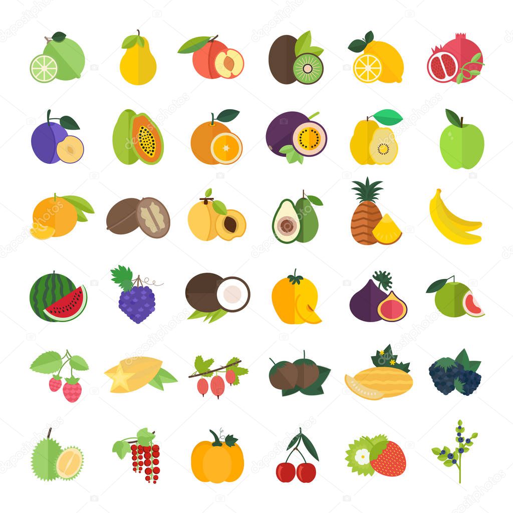 Set of vector illustration of fruits. Flat elements on white background.