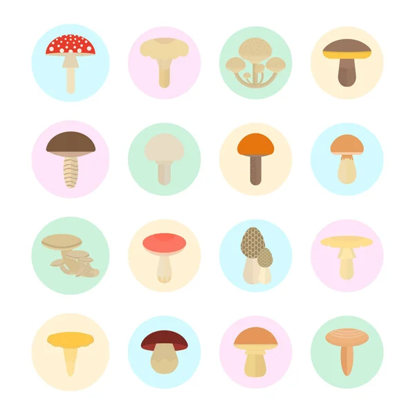 Set Vector Illustration of Mushrooms — Stock Illustration Set Vector Illustration of Mushrooms Royalty Free Stock Vectors