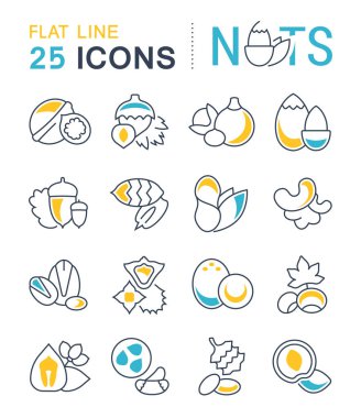 Fındık vektör düz çizgi Icons set