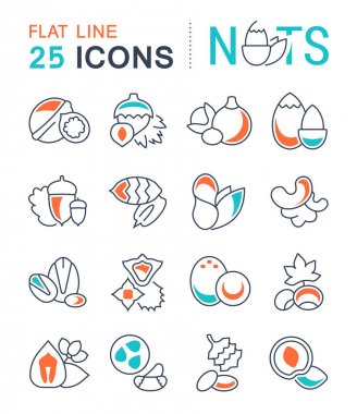Fındık vektör düz çizgi Icons set