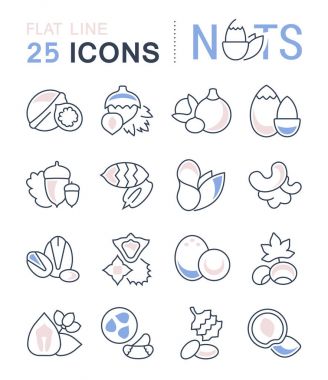 Fındık vektör düz çizgi Icons set