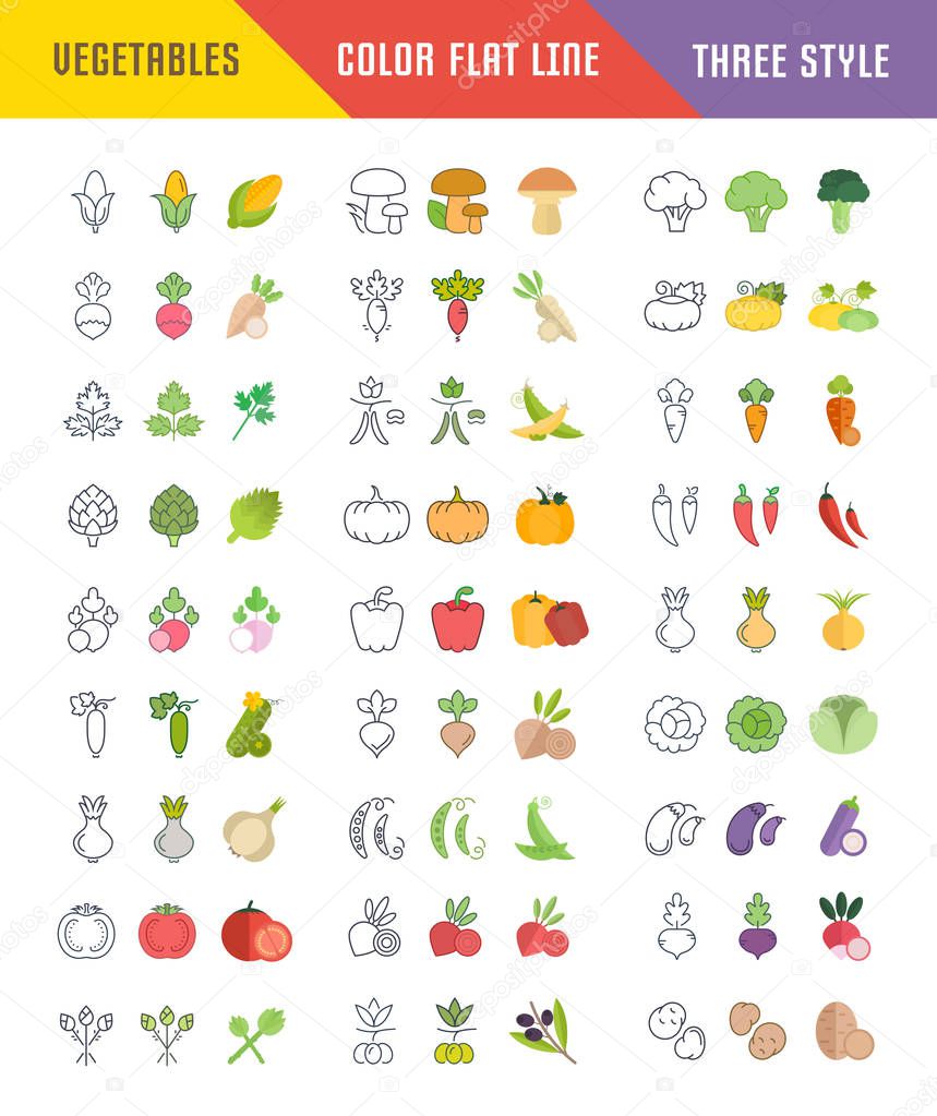 Set Vector Illustration of Vegetables