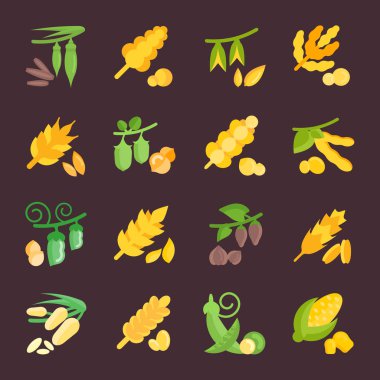 Kabuğu çıkarılmış tane vektör düz Icons set