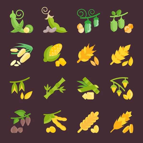 Fasulye ve tahıllar vektör düz Icons set — Stok Vektör