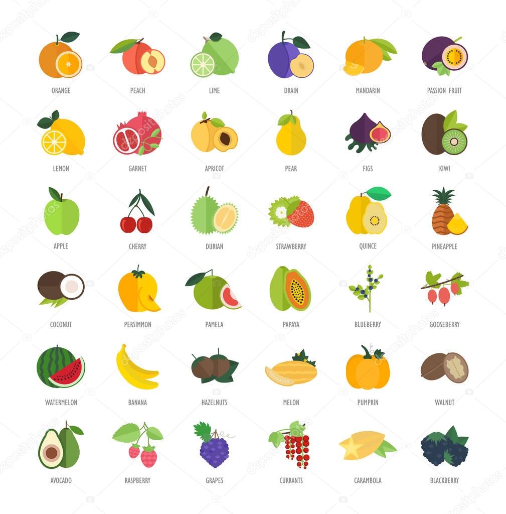 Set vector illustration of fruits. Flat elements on white background