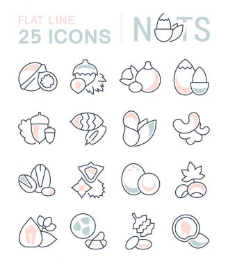 Fındık vektör düz çizgi Icons set