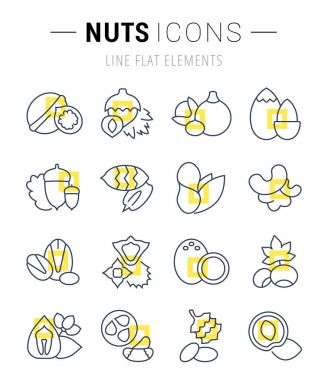 Fındık vektör düz çizgi Icons set